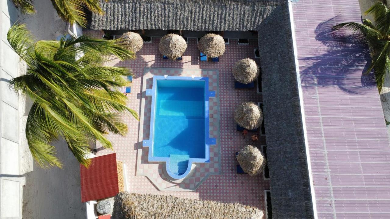 Amani Hotel Падже Экстерьер фото